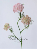 Meadow Lace Spray Stem – 29.5"