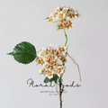 Meadow Hydrangea Stem – 29.5"