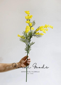 Golden Mimosa Stem – 31"