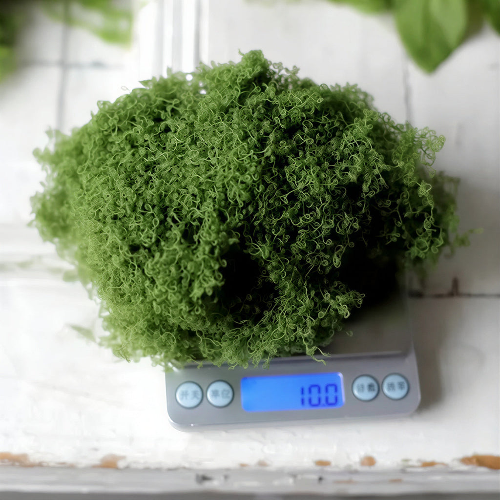 Natural-Style Artificial Moss (Loose & Sheet Options)