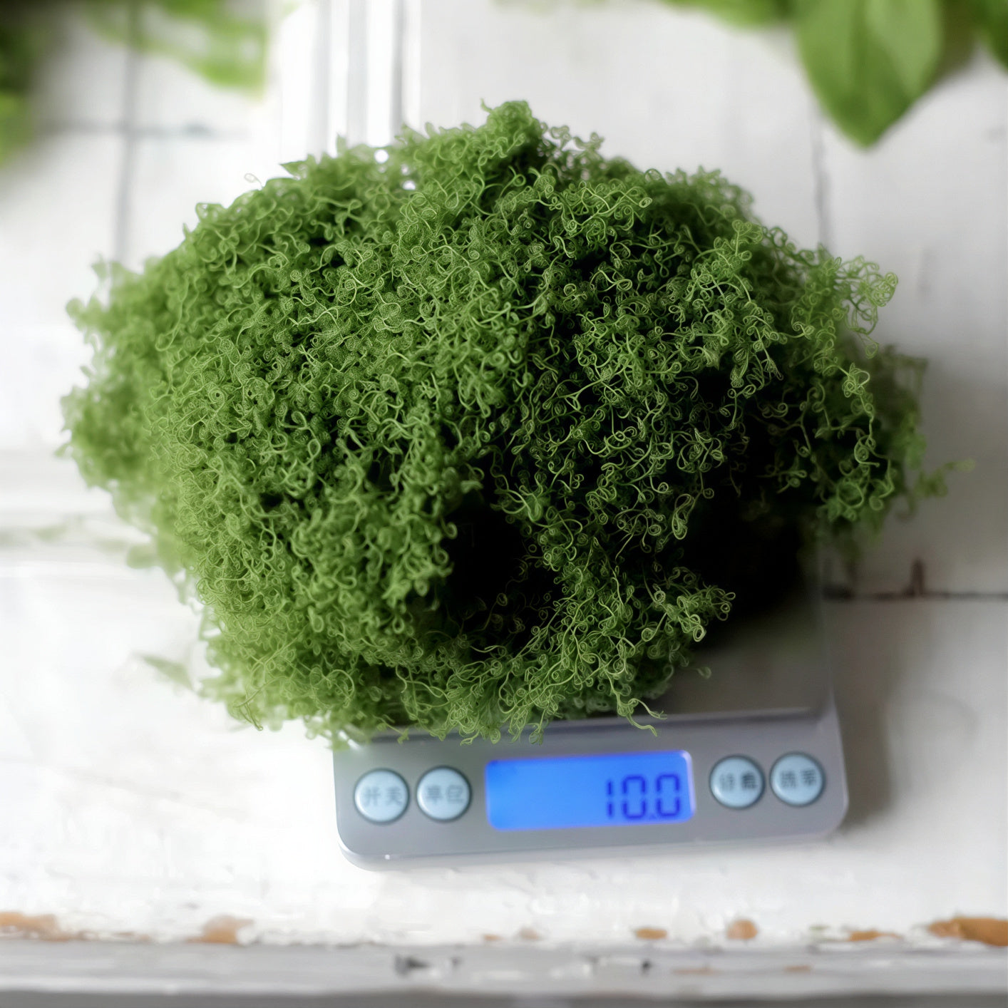 Natural-Style Artificial Moss (Loose & Sheet Options)