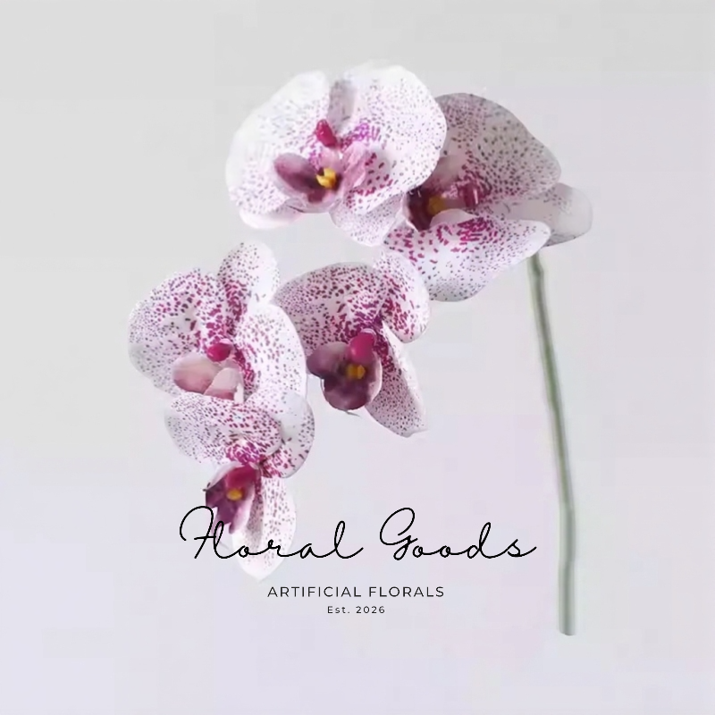 Moth Orchid Stem – 26"