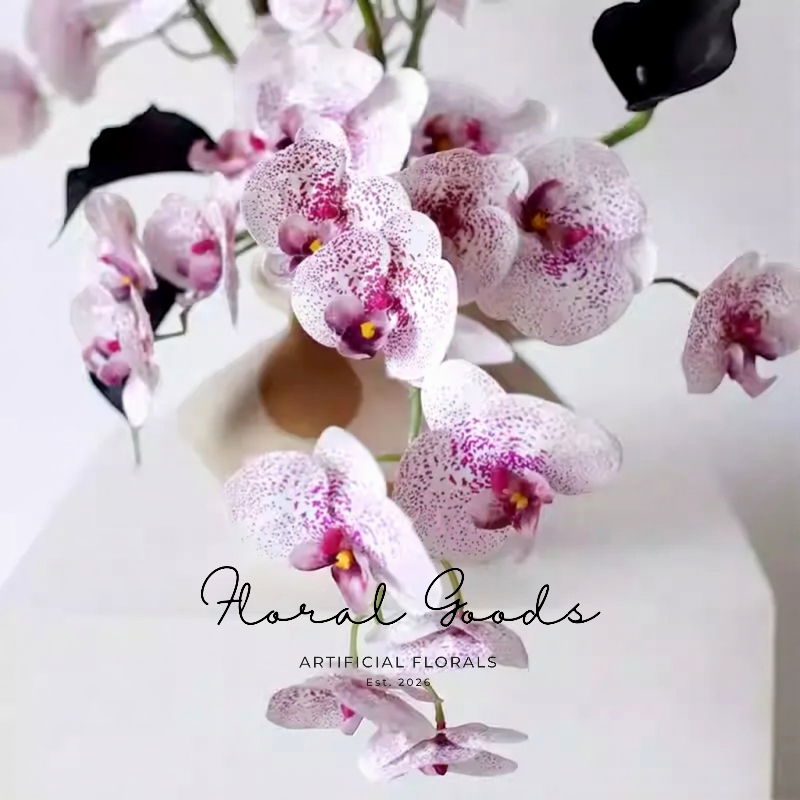 Moth Orchid Stem – 26"