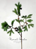 Mountain Pine Branch – 34.6"