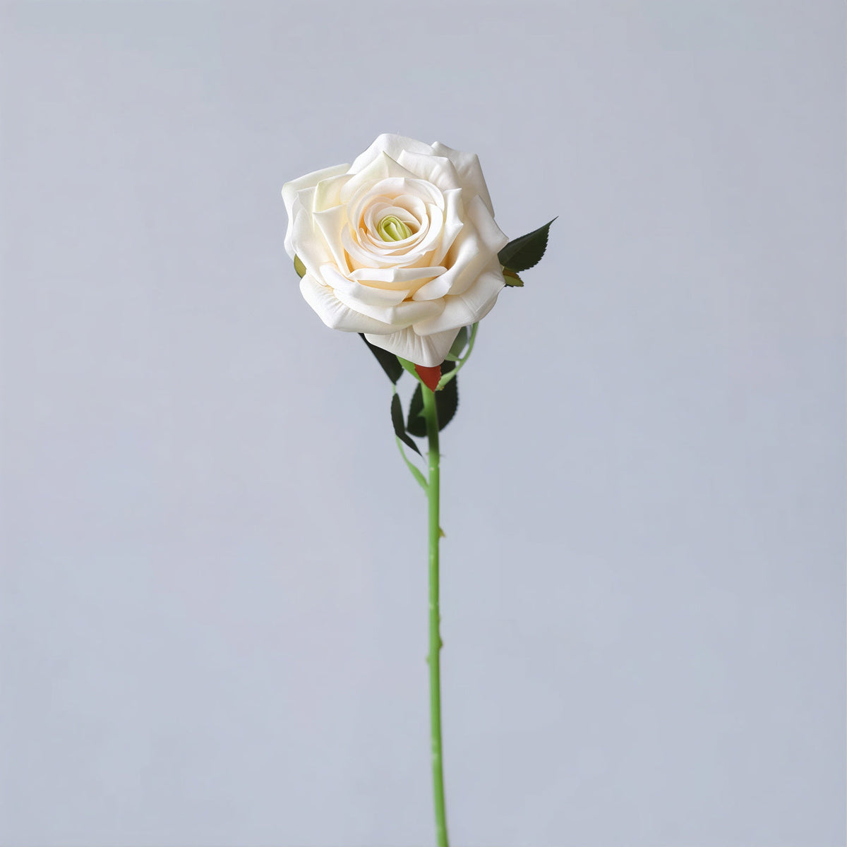 Muted Rose Stem – 19"