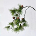 Long Needle Pine Branch with Pinecones – 37.8"