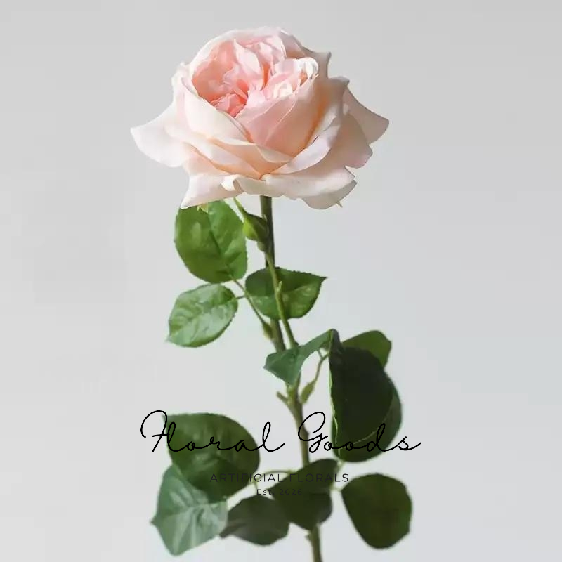 Notting Hill Garden Rose – 26"