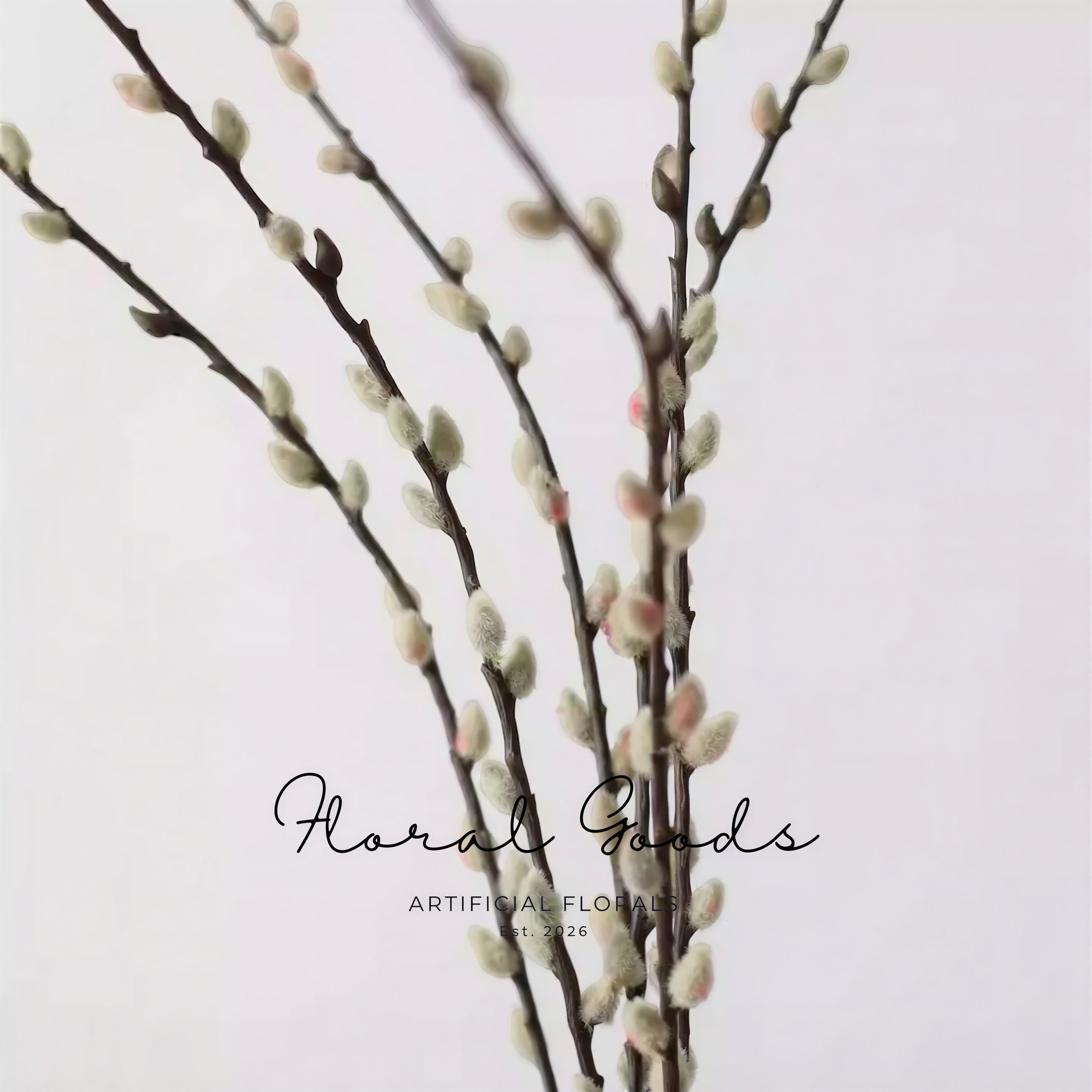 Pussy Willow Branch – 32"