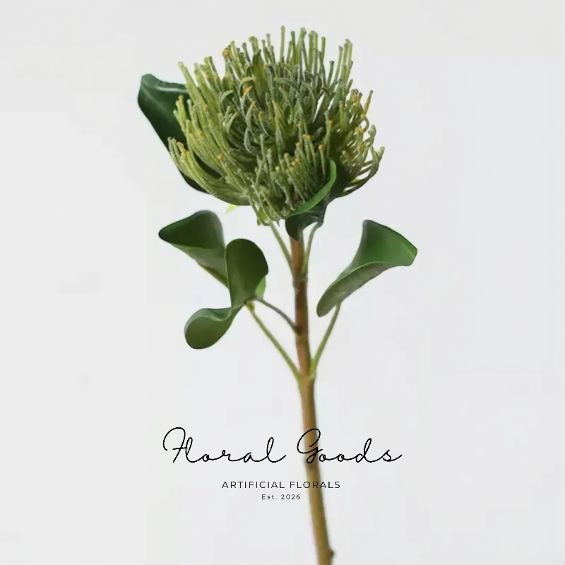 Sculptural Pincushion Protea Stem – 25.6"