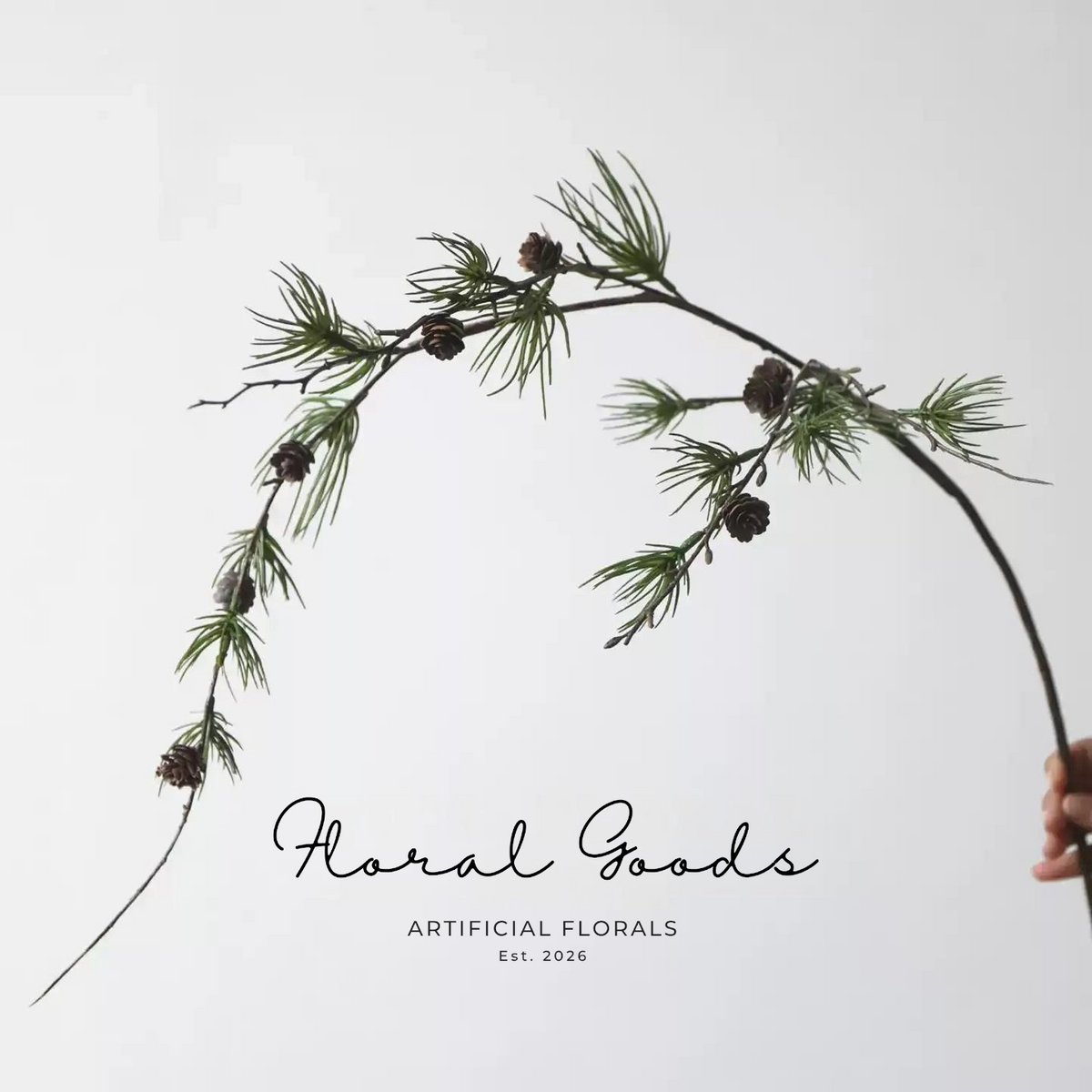 Wild Pine Branch with Cones – 43"