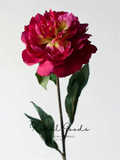 Romantic Peony Bloom Stem – 27.6"