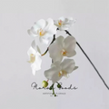 Real Touch Phalaenopsis Orchid Stem