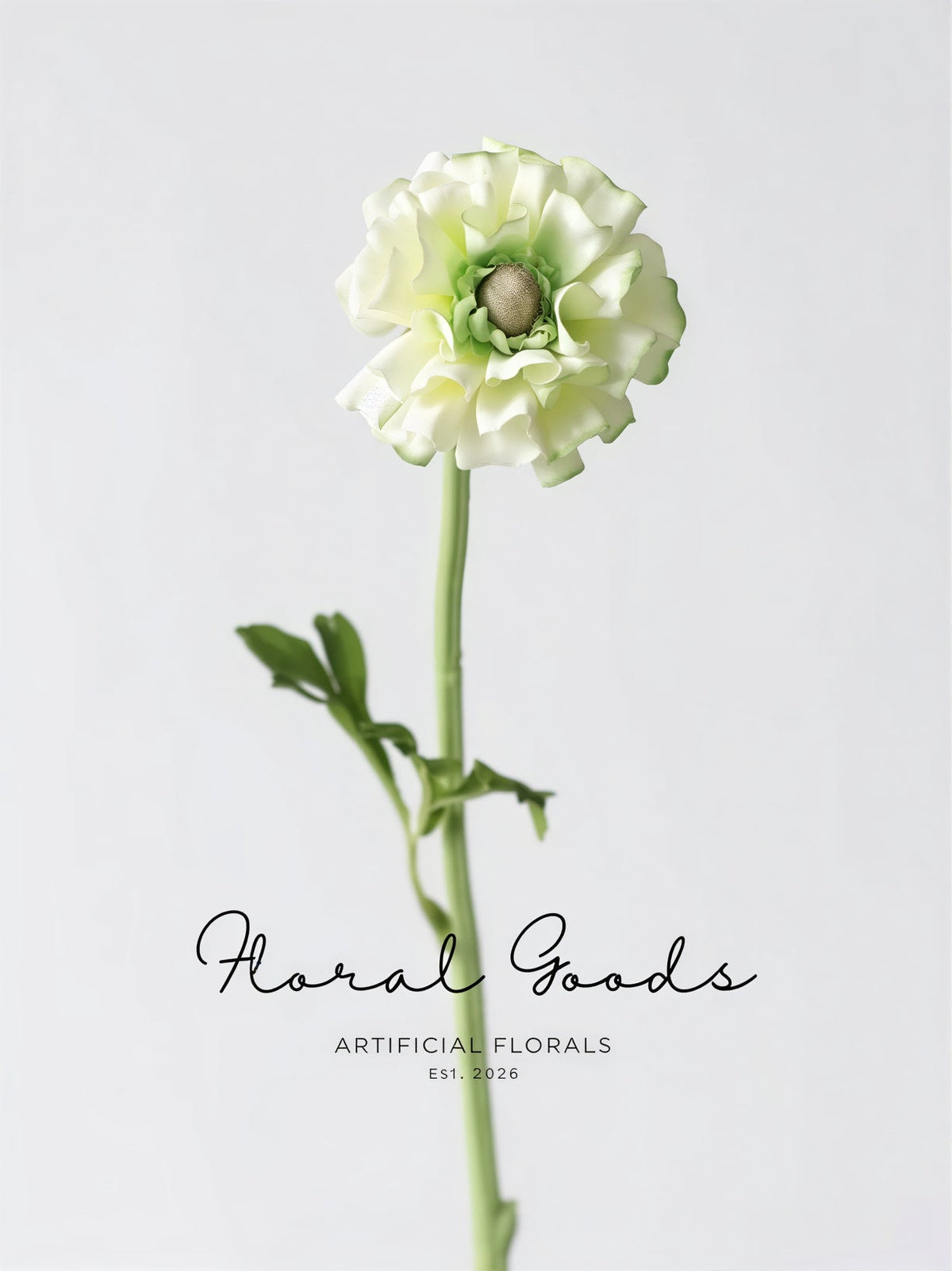 Statement Ranunculus Stem – 18.1"