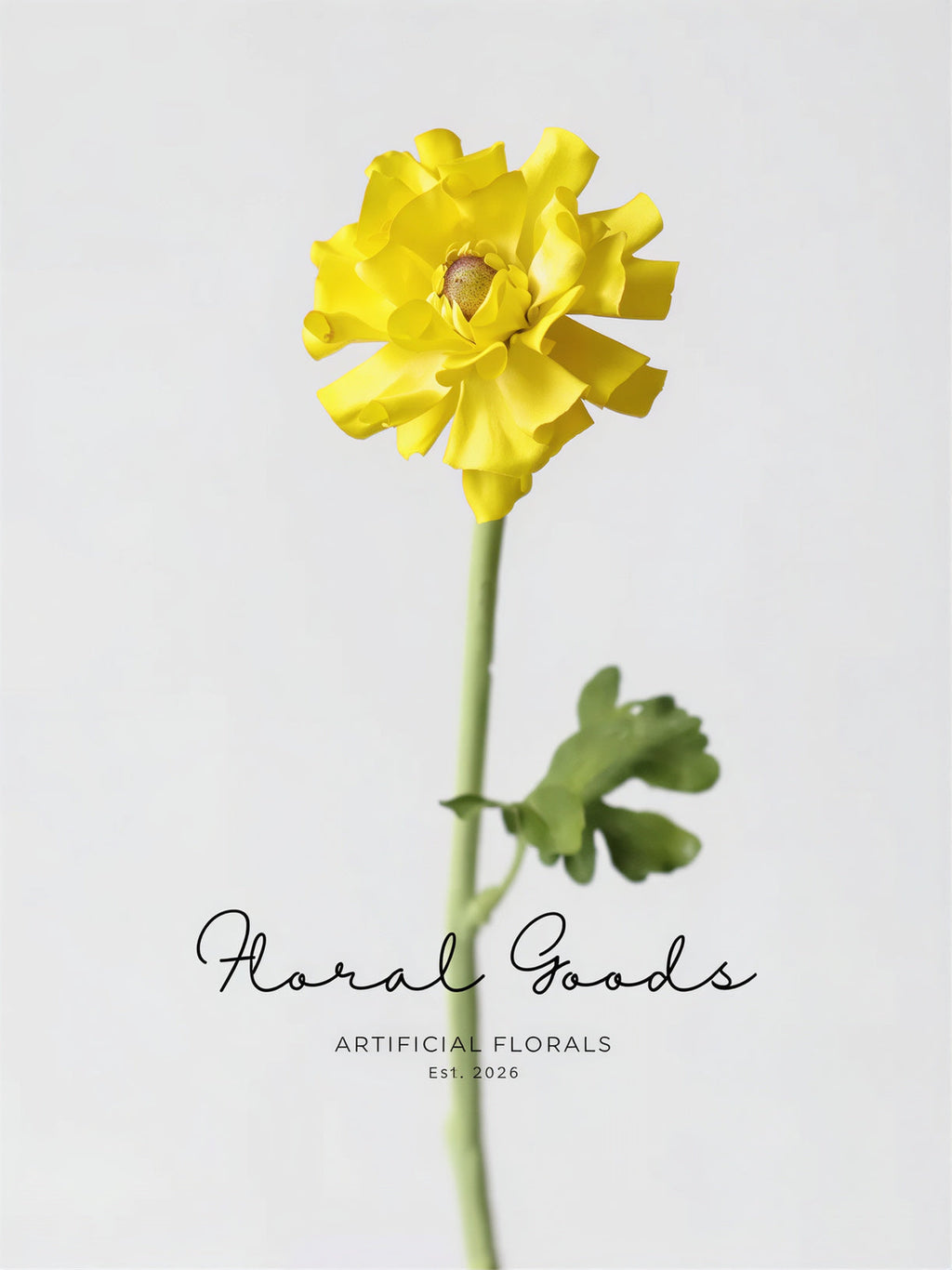Statement Ranunculus Stem – 18.1"