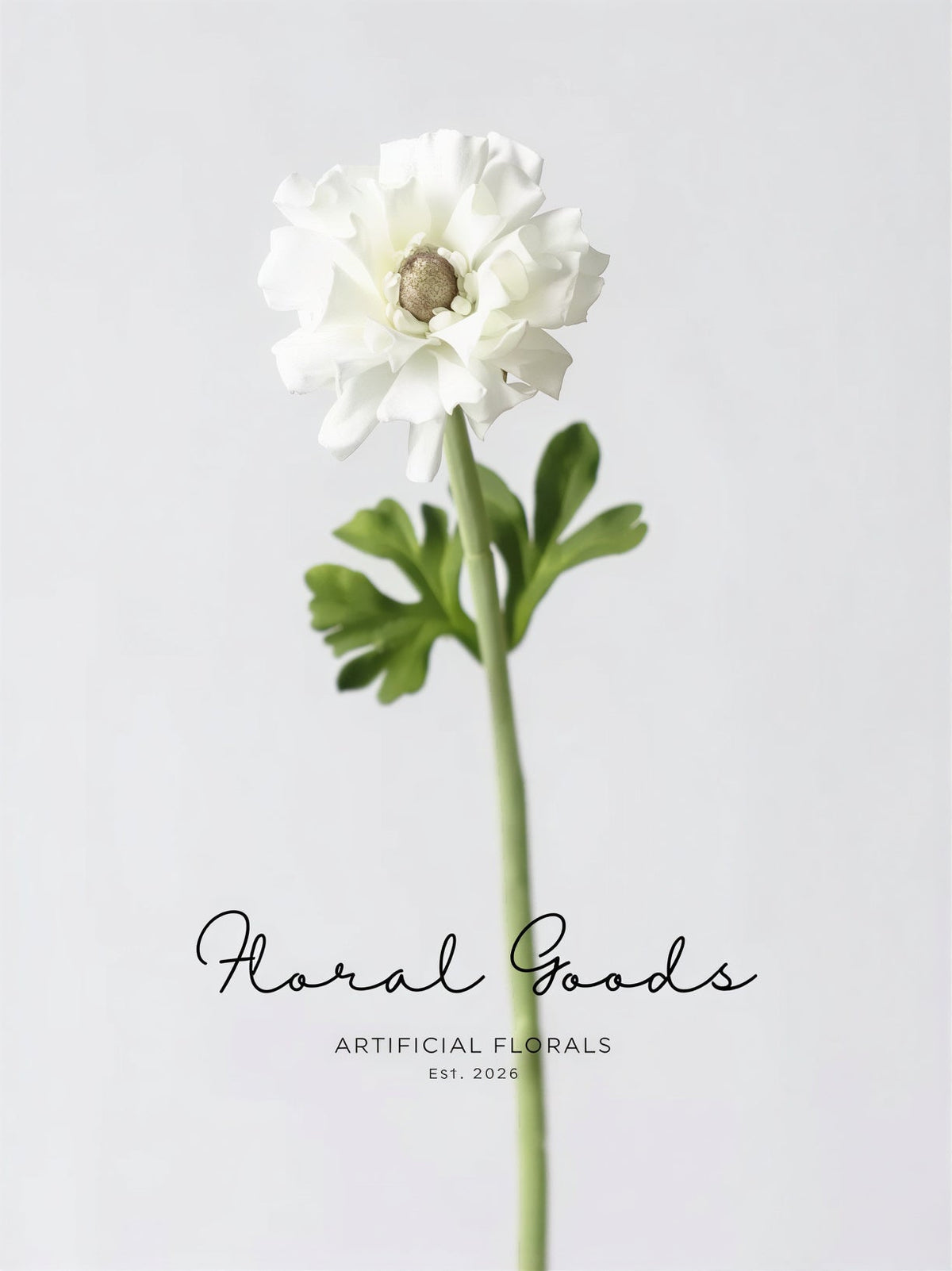 Statement Ranunculus Stem – 18.1"