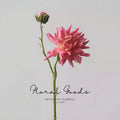 Rosy Petal Dahlia Stem – 16.9"