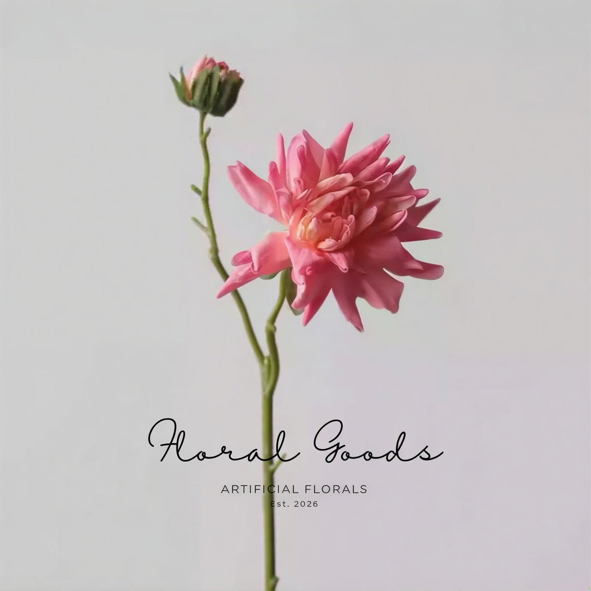 Rosy Petal Dahlia Stem – 16.9"