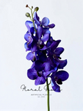 Royal Vanda Orchid Stem – 27"