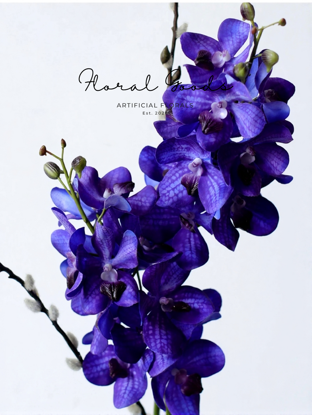 Royal Vanda Orchid Stem – 27"