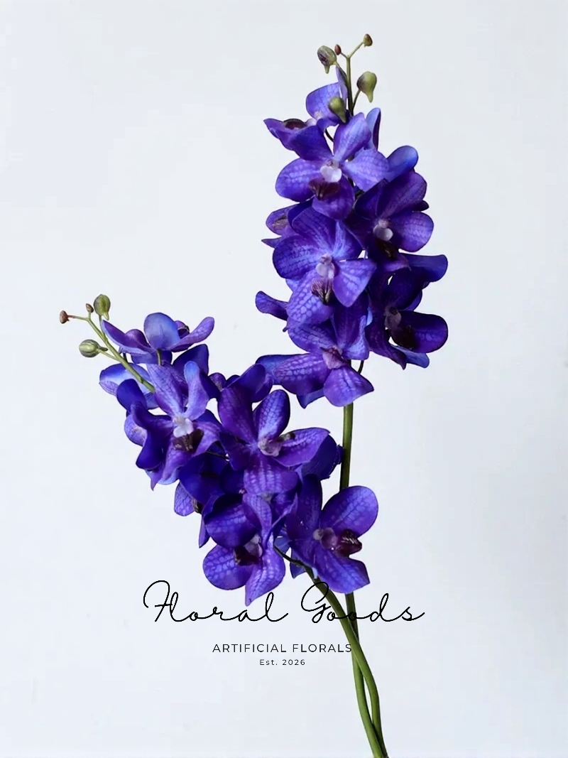Royal Vanda Orchid Stem – 27"