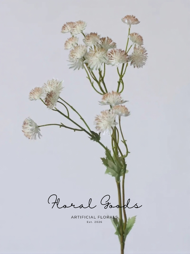 Starry Astrantia Stem – 23.6"