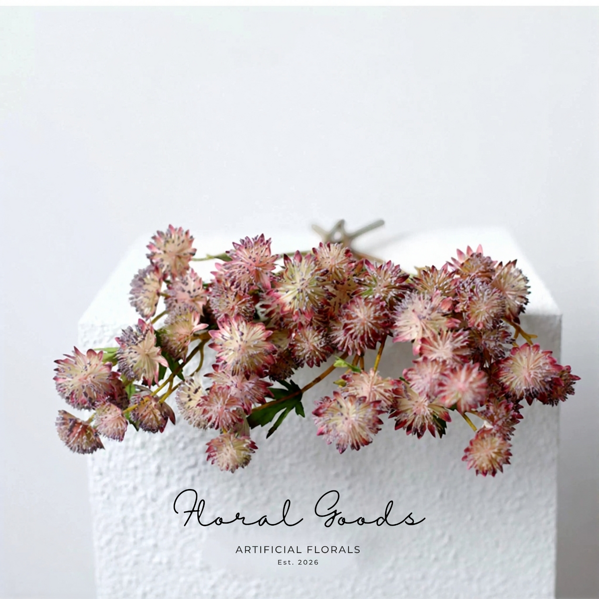 Starry Astrantia Stem – 23.6"