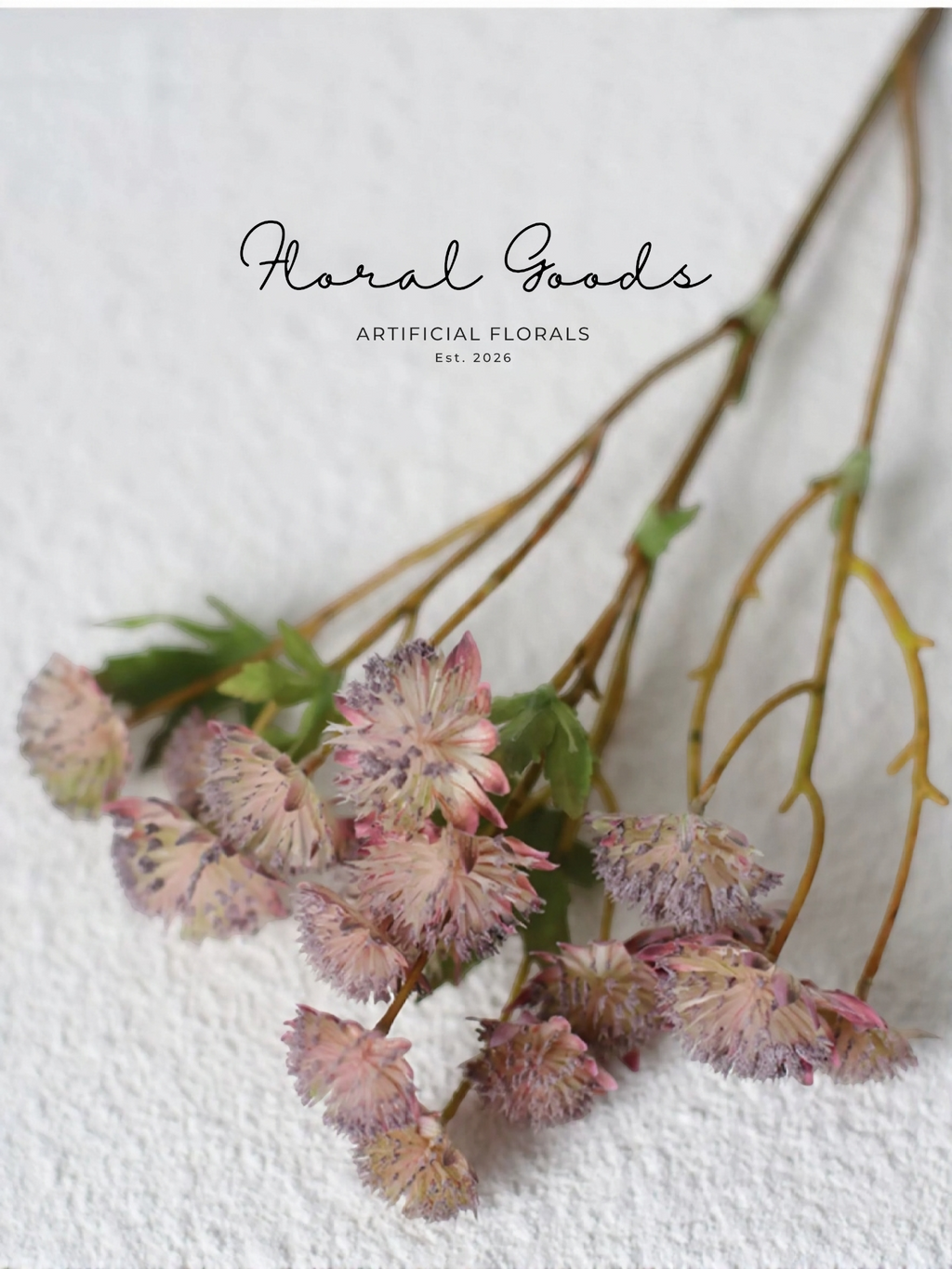 Starry Astrantia Stem – 23.6"