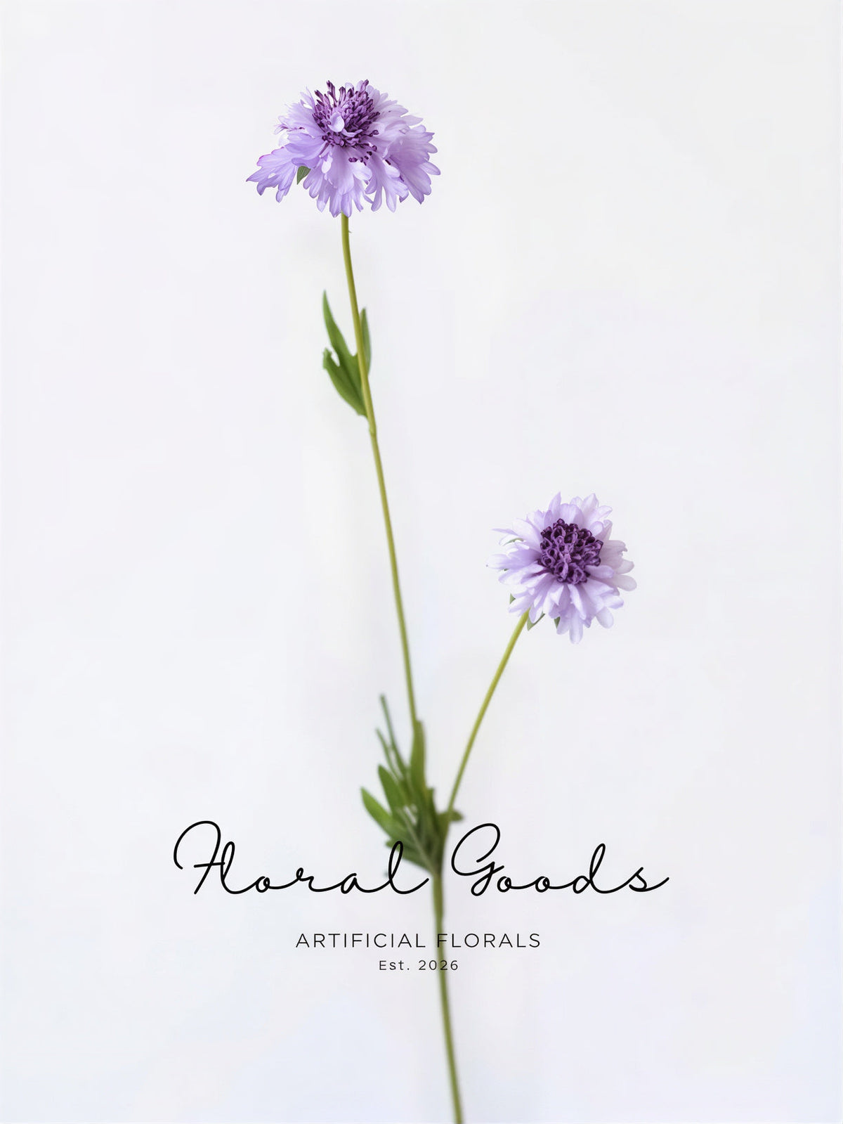 Minimal Scabiosa Stem – 19.7"