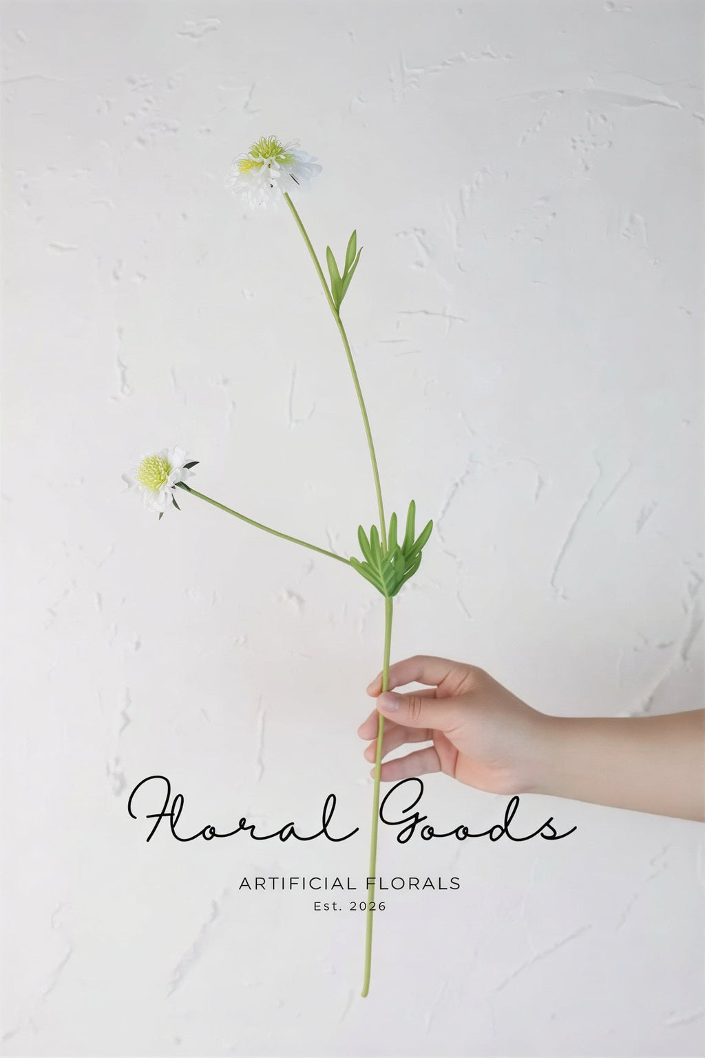 Minimal Scabiosa Stem – 19.7"