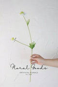 Minimal Scabiosa Stem – 19.7"