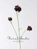 Garden Scabiosa Spray – 30"