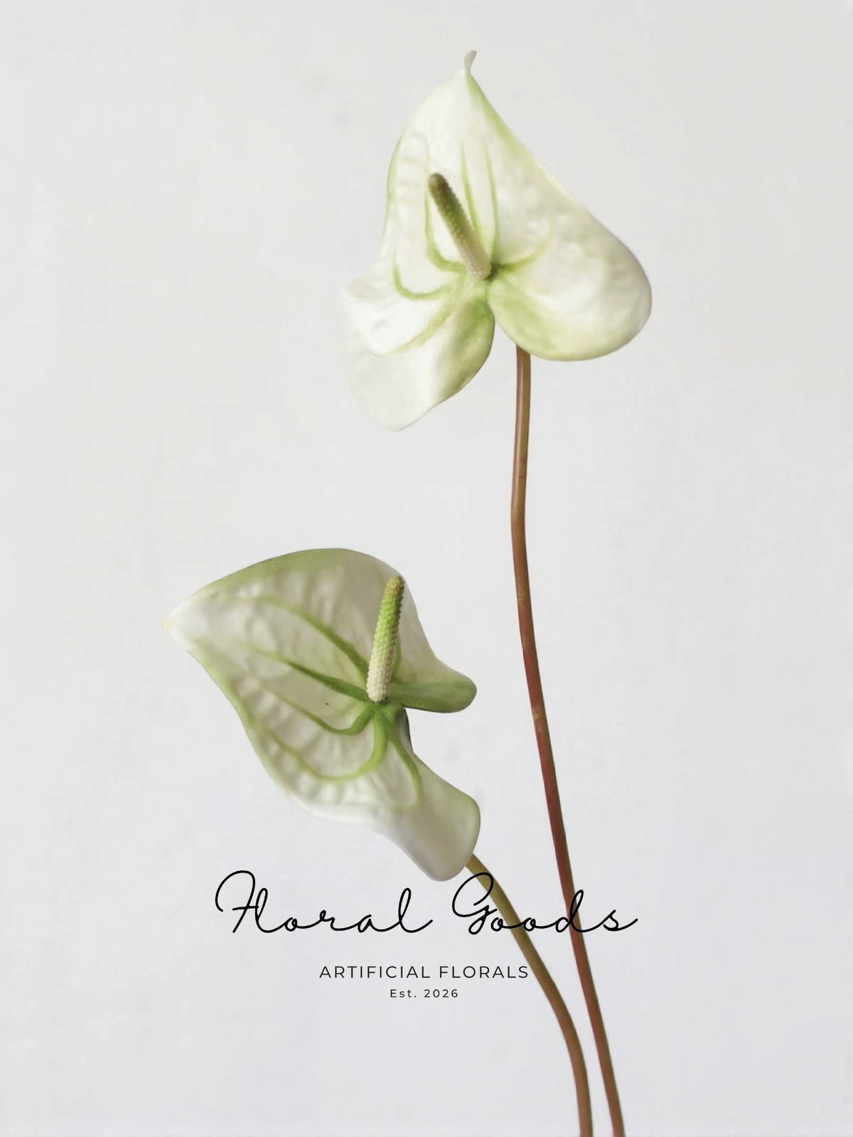 Sculptural Anthurium Stem – 24"