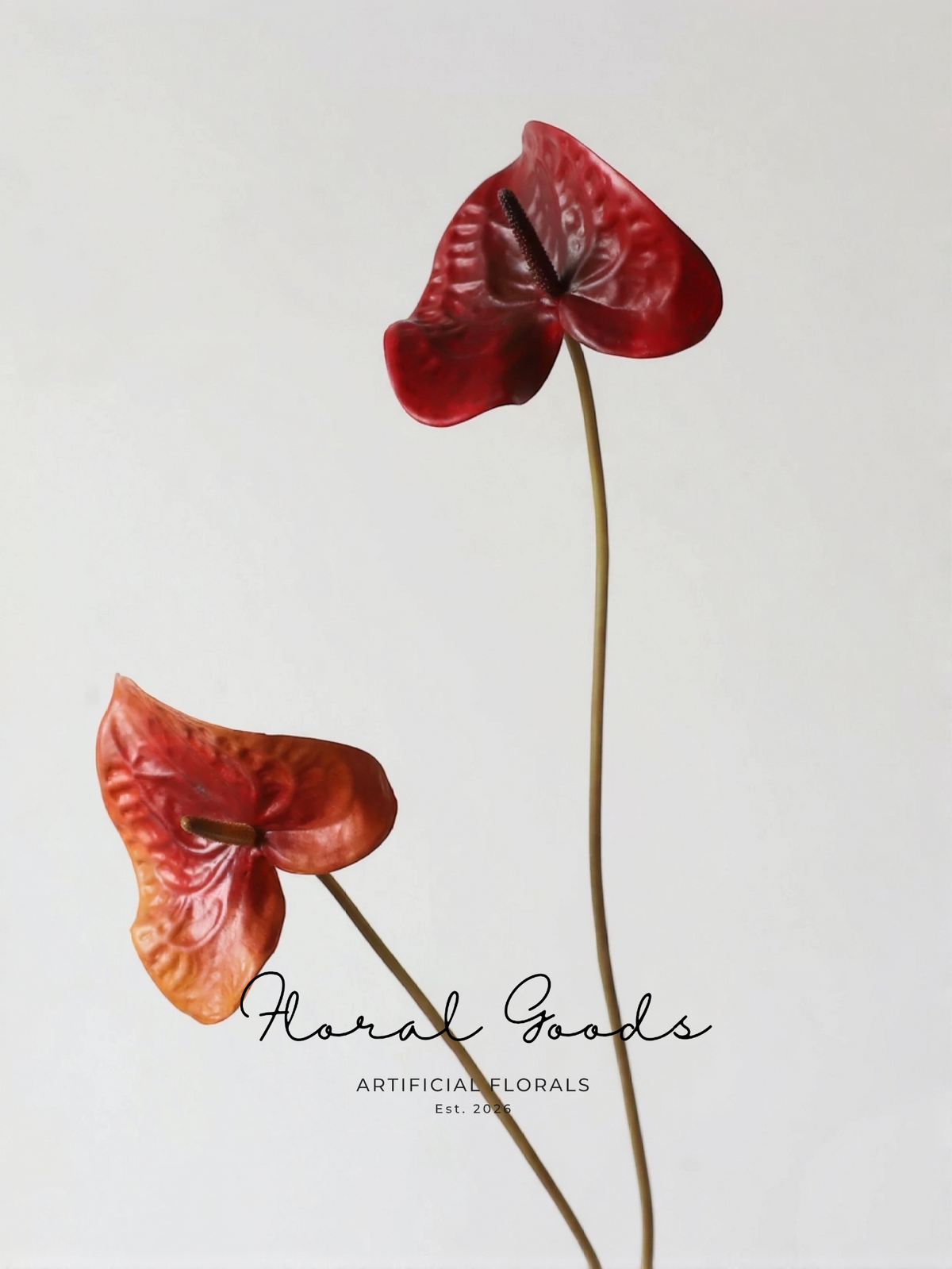 Sculptural Anthurium Stem – 24"