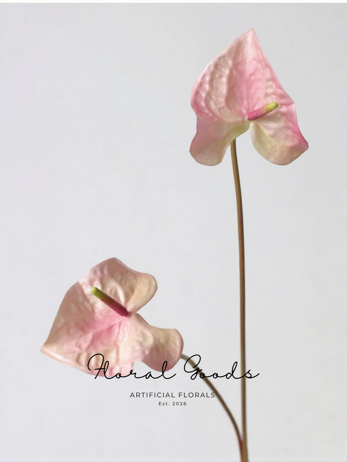 Sculptural Anthurium Stem – 24"