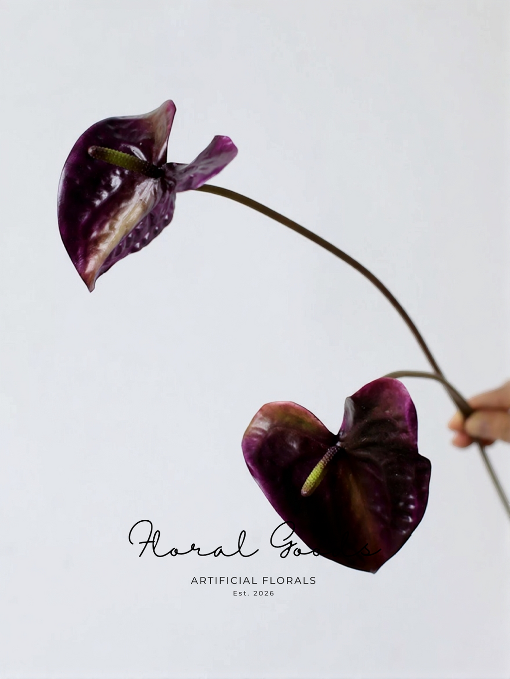 Sculptural Anthurium Stem – 24"