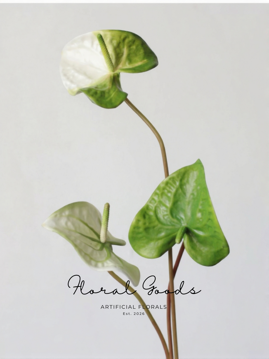 Sculptural Anthurium Stem – 24"