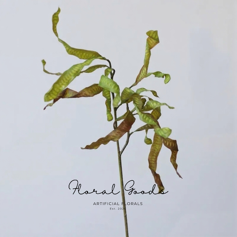 Sculptural Curled Leaf Stem – 27.2"