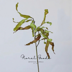 Sculptural Curled Leaf Stem – 27.2"