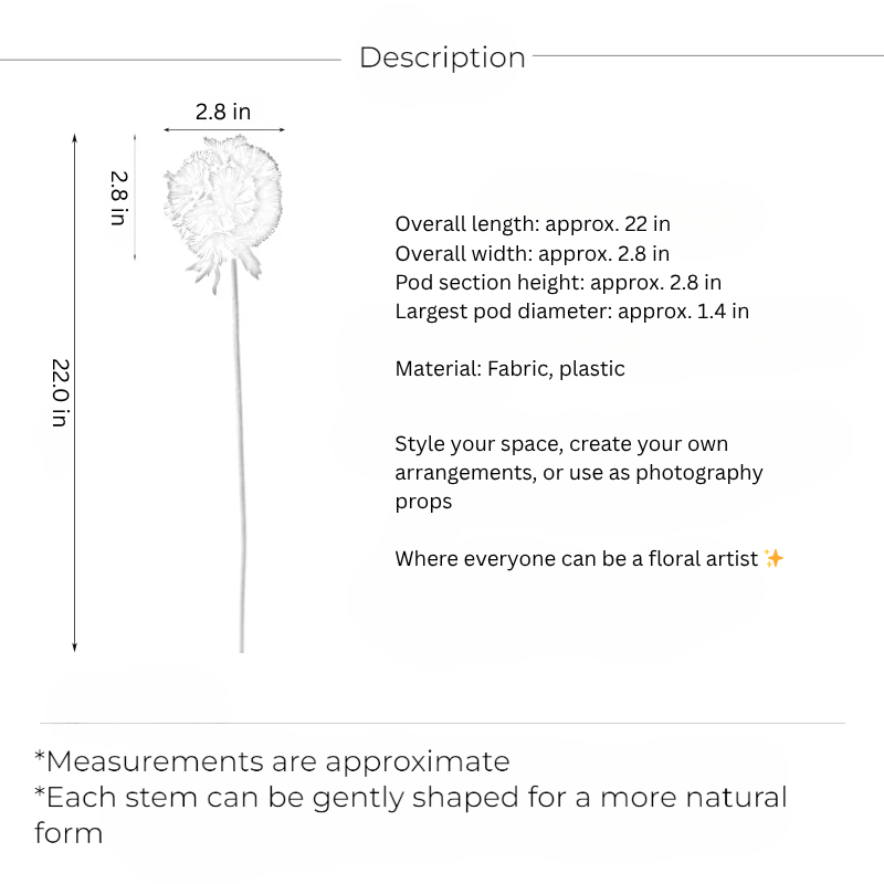 Sculptural Pod Stem – 22"