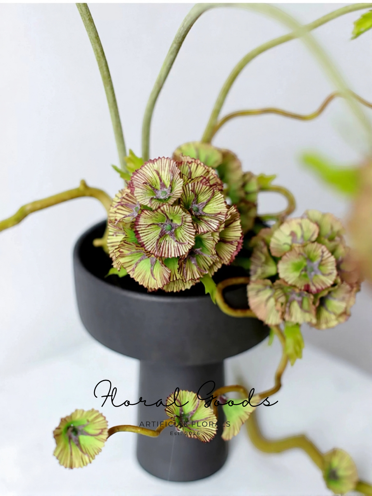 Sculptural Pod Stem – 22"