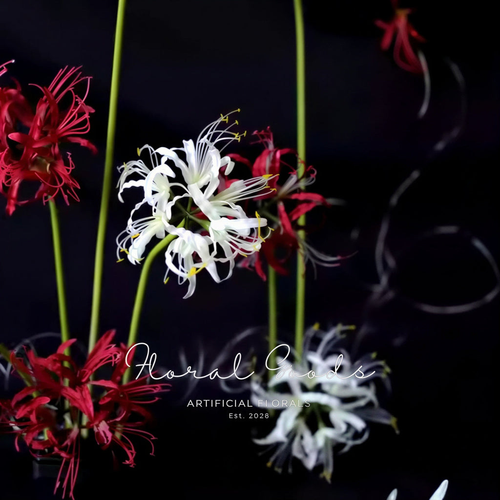 Sculptural Spider Lily Stem – 26"