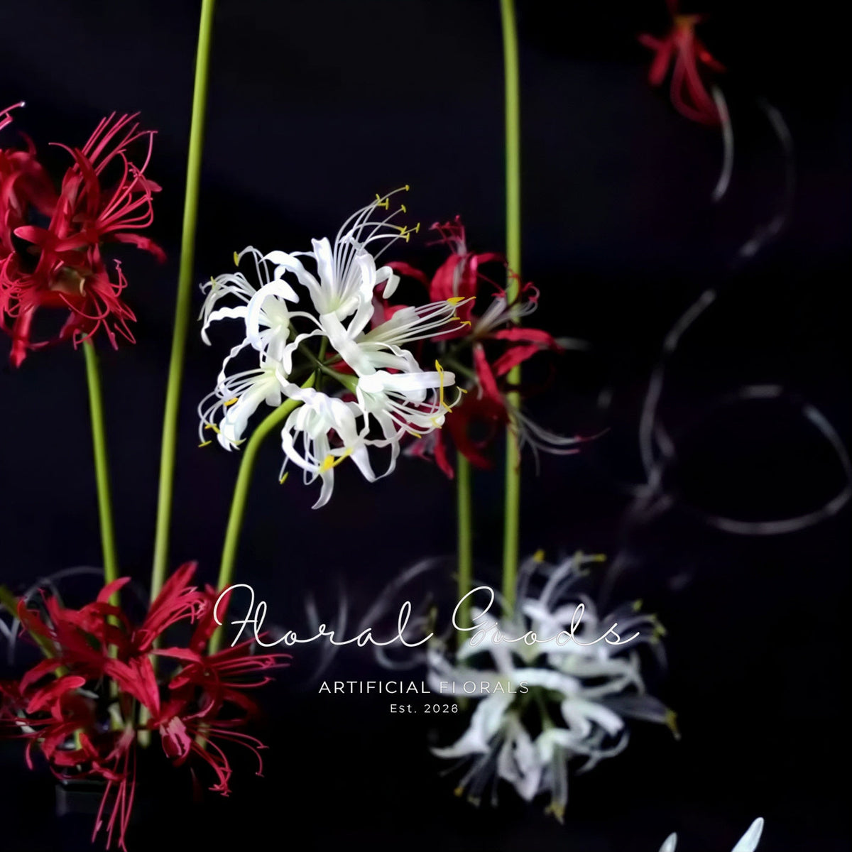Sculptural Spider Lily Stem – 26"
