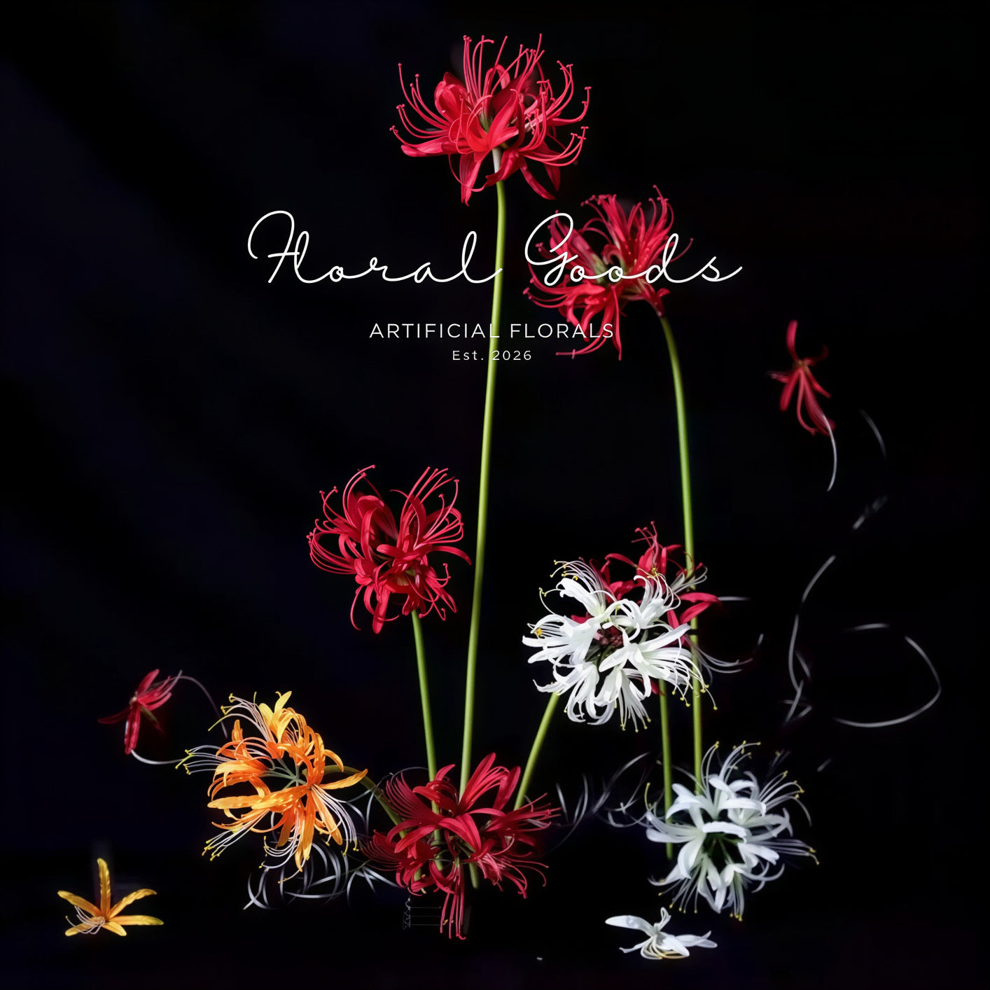 Sculptural Spider Lily Stem – 26"