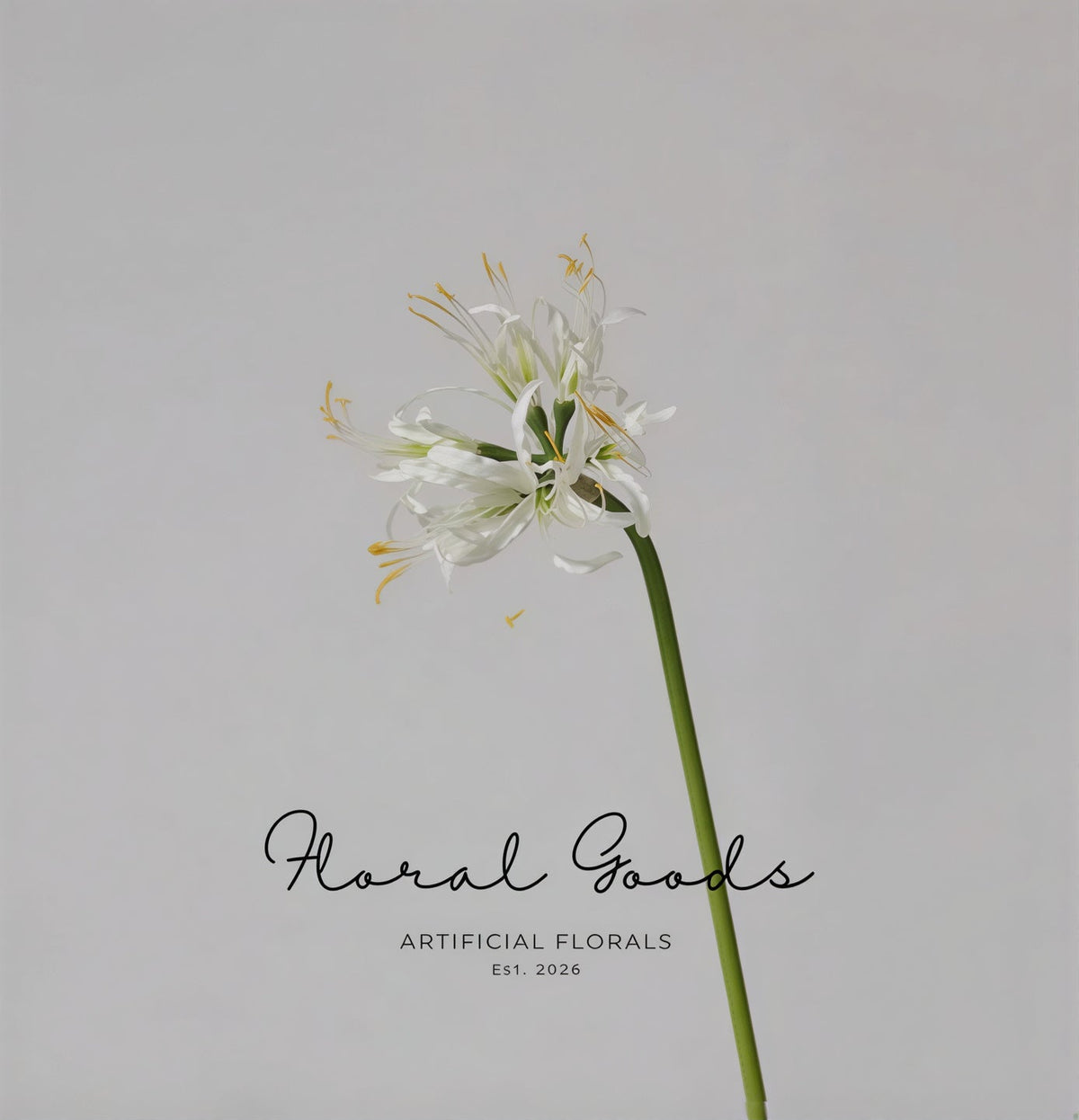 Sculptural Spider Lily Stem – 26"