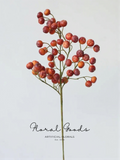 Wild Sea Berry Stem – 19.5"