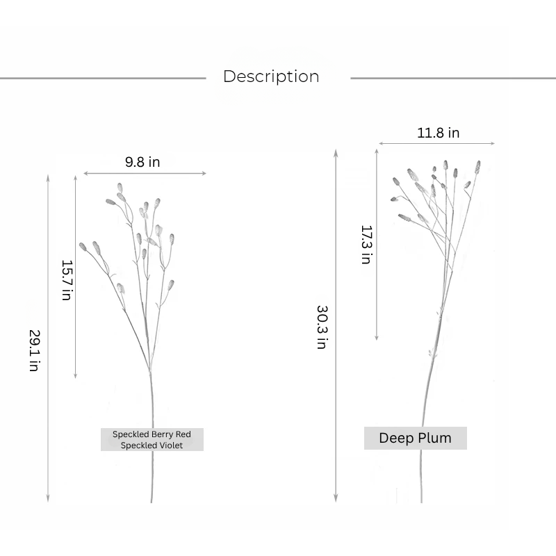 Sanguisorba Style Seed Spray - 43.3"