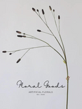 Sanguisorba Style Seed Spray - 43.3"