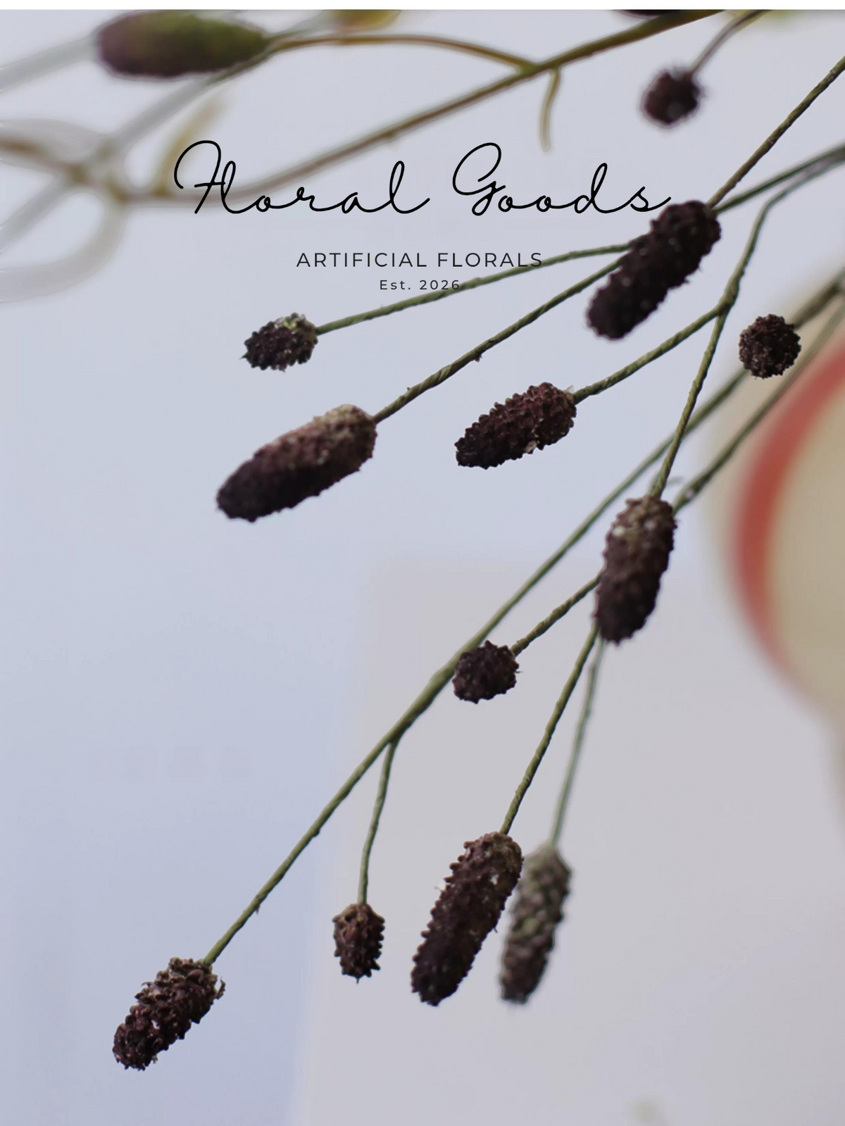 Sanguisorba Style Seed Spray - 43.3"