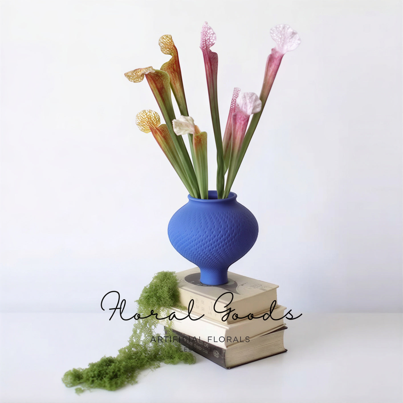 Sculptural Pitcher Plant Stem – 18.1"