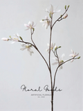 Star Magnolia Branch – 39"